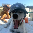 JOE BOX HAT